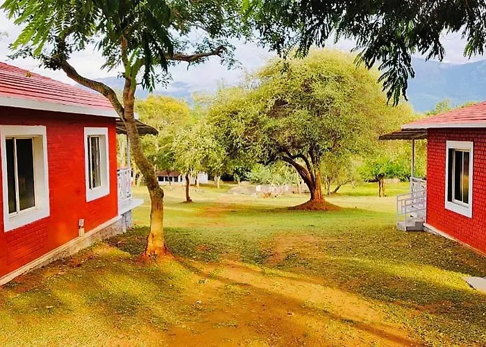 The Wild Fo'Rest Resorts