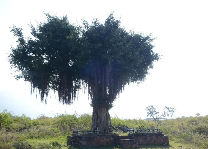 Aarraams Farms & Resorts
