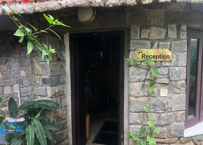 The Tiger Paw Resort