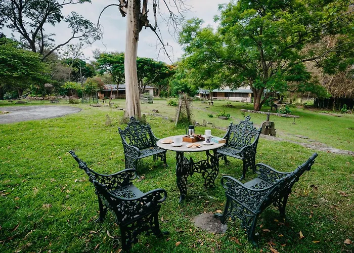 Jungle Hut Resort