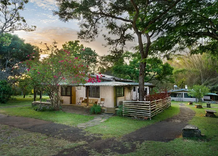 Jungle Hut Resort